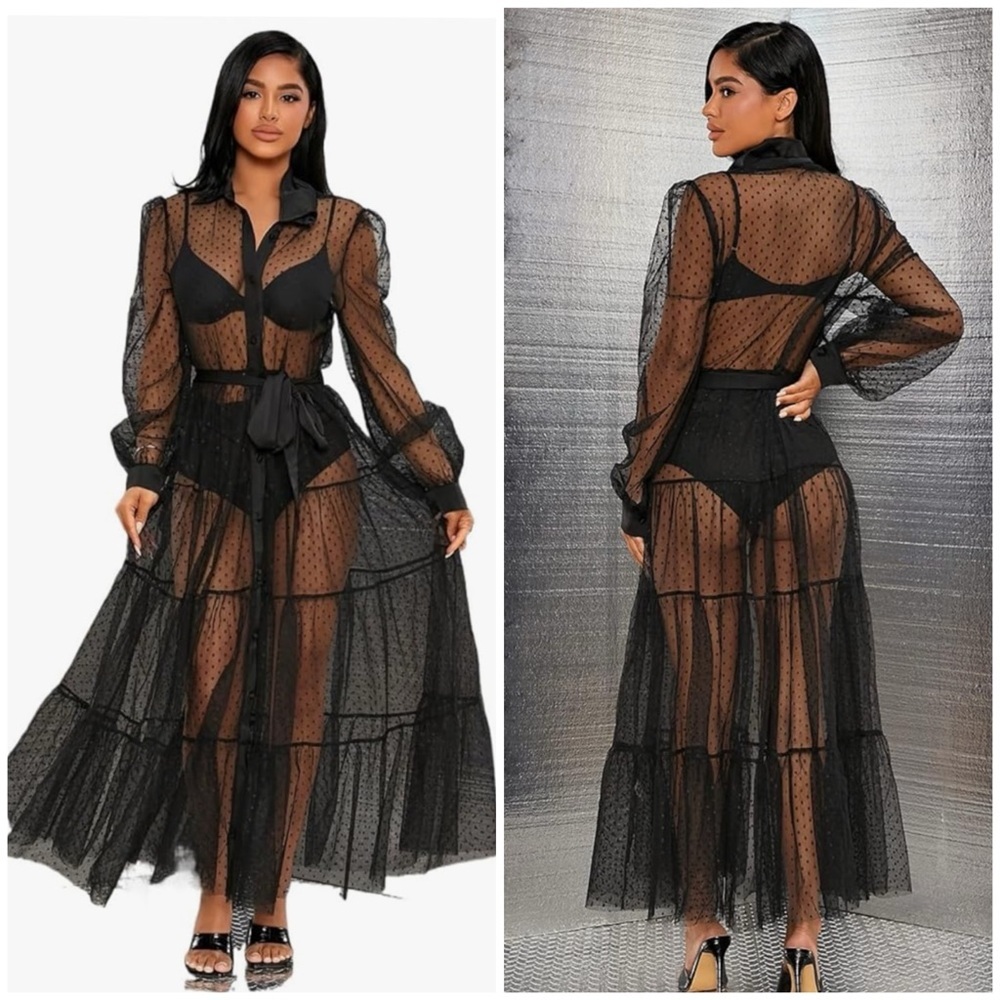 Elegant Black Sheer Dress Shein